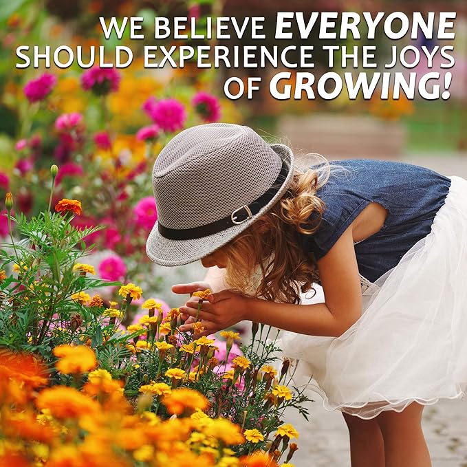 Zinnia Seeds for Planting Outdoors - ~1,500 Lilliput Semi-Dwarf Zinnia Seeds - Dazzling 1-2" Lush Pompom-Like Dwarf Bulbs - Zinnia elegans Pollinator Seed Mix - Bright Annual Flower Seed Packets