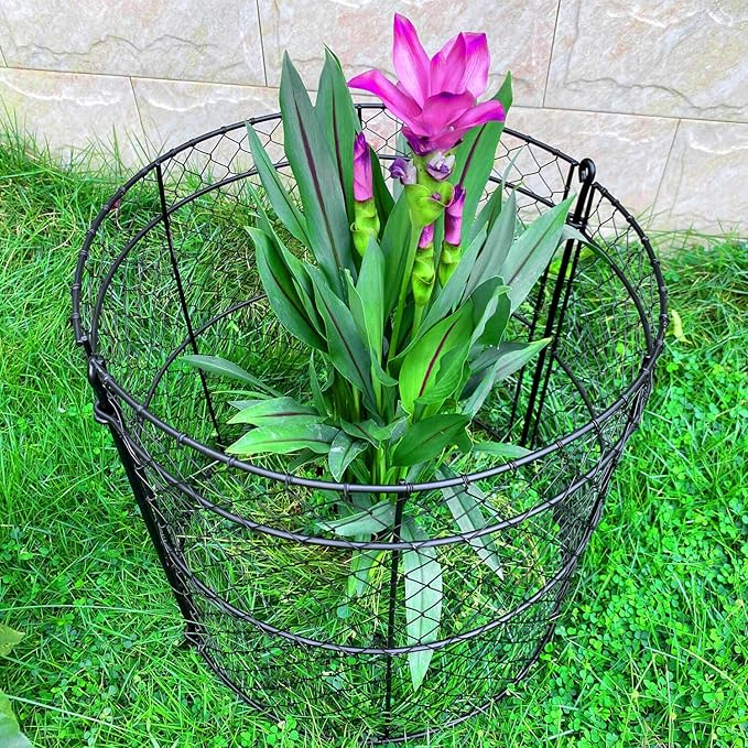 6 Pack Garden Plant Protection Cloches 14"x16", Heavy Duty Chicken Wire Plant Protectors, Rustproof Metal Garden Cages to Shield Seedlings, Flowers & Vegetables from Animals
