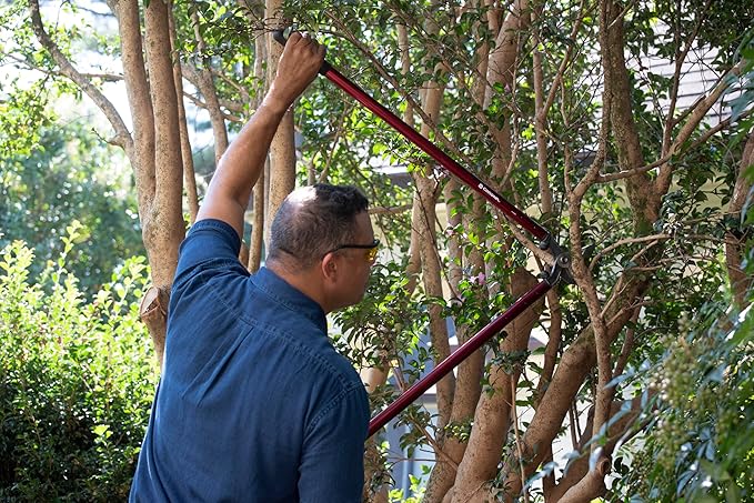 Corona Tools | 36-inch Branch Cutter MAXFORGED Orchard Loppers | Tree Trimmer Cuts Branches up to 2 ¼-inches in Diameter | AL 8482, Red