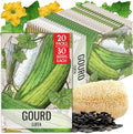 Seed Needs Luffa Seeds for Planting Loofah Sponge Gourds - Non-GMO Heirloom & Untreated Veggie Seed to Plant a Home Grown Outdoor Vegetable Garden (20 Packs)