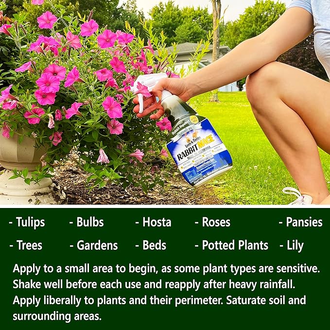 Nature’s Mace Rabbit MACE Concentrate, Deterrent for Yard, Rabbit Repellent Outdoor, Mint Rabbit Spray, Garden, Lawn, Keep Rabbits Out Safe to Use Around People, Pets, Plants, 640 Fl Oz (Pack of 1)