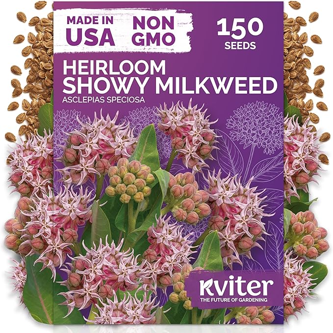 KVITER 150 Showy Milkweed Seeds (Asclepias Speciosa) - Greek Milkweed, Perennial Wildflower, Pink-Purple Blooms, Butterfly Magnet - Flower Seeds in Seed Packets for Outdoor Gardens and Borders