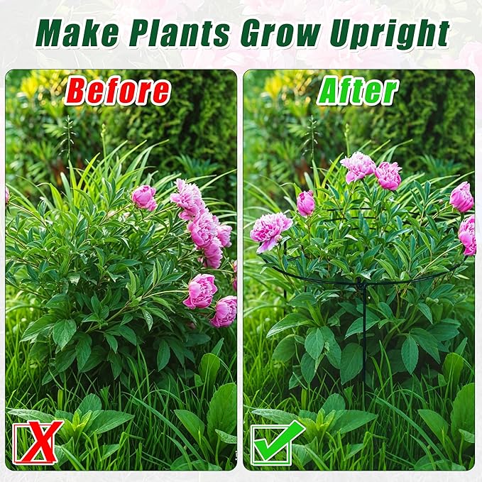 3 PCS 30"H x 13.8"D Peony Cages and Supports, Large Grow Through Plant Supports for Outdoor Plants, Heavy Duty Metal Peony Support Cage Plant Brace Flower Support Rings for Vegetables Roses Tomatoes