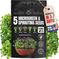 SproutMe Microgreens & Sprouting Seeds Variety Pack – 5 Varieties for Indoor Growing & Hydroponic Garden Use, Non-GMO Heirloom, 5,050+ Seeds for Planting Total – Basil, Broccoli, Radish, Pea & Spinach