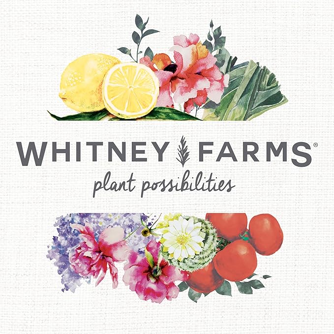 Whitney Farms Organic & Natural Tomato & Vegetable Food 7-6-9 - Fertilizer for In-Ground or Container Gardens - 4 lb.
