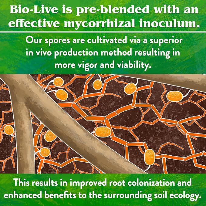 Down To Earth All Natural Fertilizers Organic Bio-Live Starter & Transplant Mix with Mycorrhizal Fungi and Benefical Microbes for Plant Food 5-4-2, 25 lb