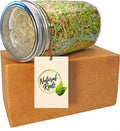 Sprouting Jar with Screen Lid-316 Stainless Steel 100% Rust Free, Wide Mouth Quart Mason Jar Kit Sprouter, Organic Healthy Fresh Broccoli, Alfalfa, Mung Bean Sprouts and more (Seeds not included)