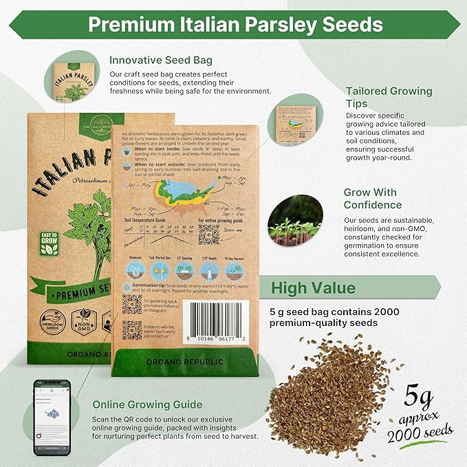 Organo Republic Italian Parsley Seeds Pack 5G - Over 2,000 Non-GMO Heirloom Parsley Seeds for Planting Herbs in Individual Seed Packet, Herbs Seeds for Planting Home Garden Indoor & Outdoor Gardening