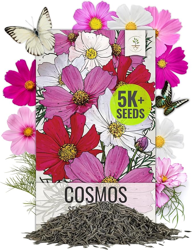 Seed Needs Cosmos Seeds for Planting Sensation Mix | 5,000+ Heirloom Seeds Open Pollinated Annual Cut Flower | Large Pink, White and Red Multicolored Mixed Blooms | Bulk