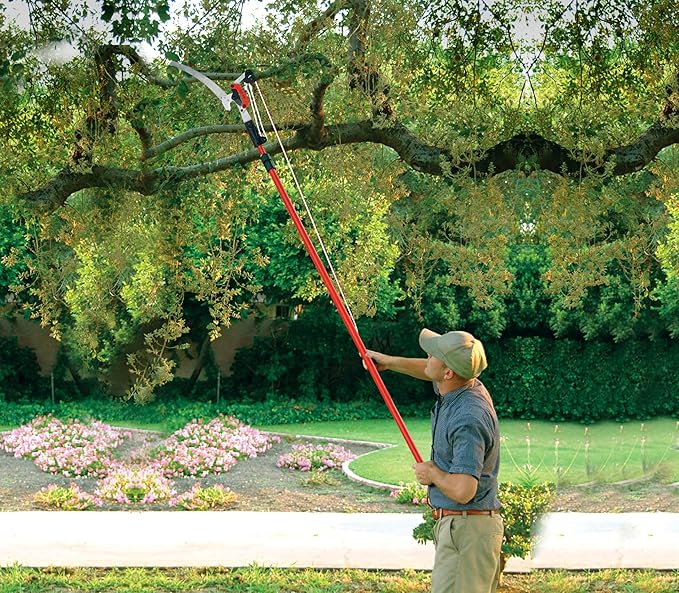 Corona TP 4214 DualLink Tree Saw 14 Ft, Red, Silver