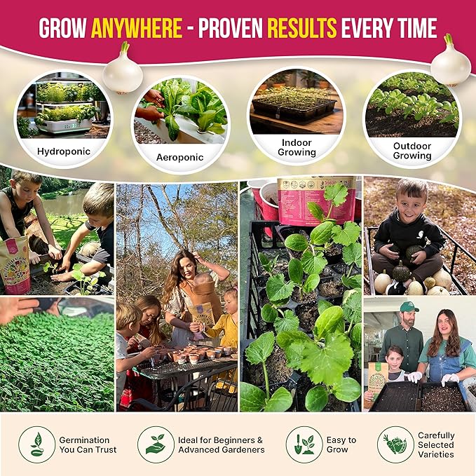 Organo Republic 8 Onion Seeds Variety Pack Heirloom, Non-GMO, Sets for Indoors, Outdoors Gardening. 2200+ Seeds: Walla Walla, Green Onion, Red Burgundy, White & Yellow Sweet Spanish Onions