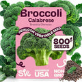SVI 800 Calabrese Broccoli Seeds for Sprouting (Brassica oleracea VAR. capitata) - Green Broccoli Sprouts Seed Packets - Non-GMO Heirloom Vegetable Seeds for Planting Outdoors & Indoors Garden