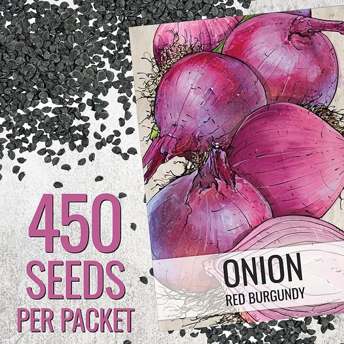 Seed Needs Onion Seeds for Planting Red Burgundy Short Day Onions - Non-GMO Heirloom & Untreated Vegetable Seeds to Plant an Outdoor Home Grown Veggie Garden
