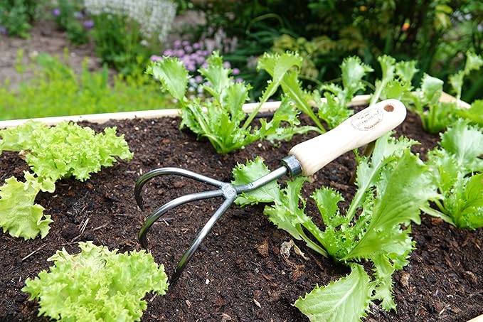 Dewit Cultivator Hand Tiller - 3-Tine, Short Handle, Works as Hoe - 11.5 in - Steel/Wood