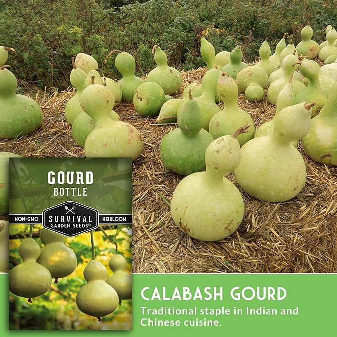 Bottle Gourd Seed for Planting - 3 Packets with Instructions to Plant & Grow Birdhouse or Calabash Gourds in Your Home Vegetable Garden - Non-GMO Heirloom Variety - Survival Garden Seeds