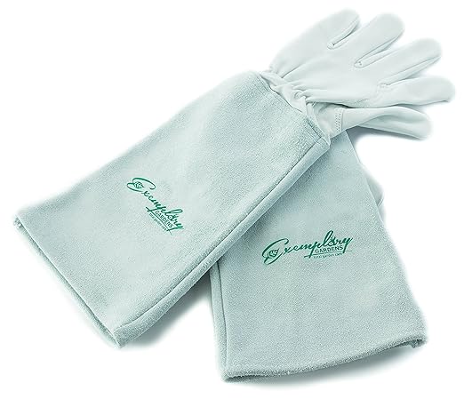 Rose Pruning Gloves for Men and Women - Thorn Proof Goatskin Leather Gardening Gloves with Gauntlet (Extra Large，Natural)