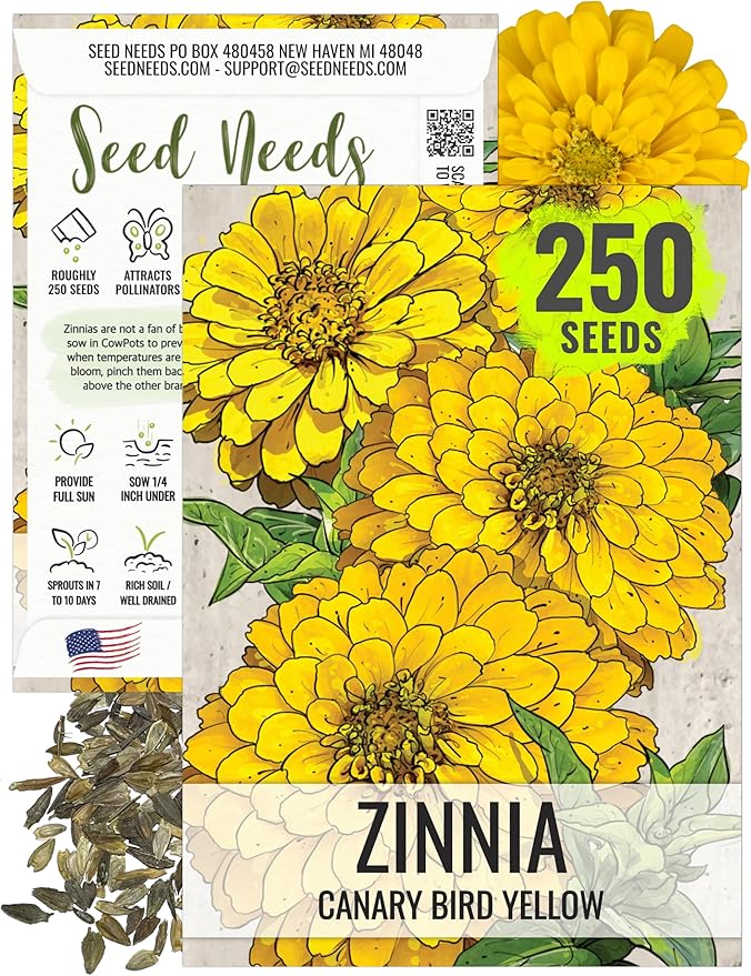 Seed Needs Zinnia Seeds for Planting Canary Bird Yellow Zinnias - Heirloom & Open Pollinated Annual Cut Flowers for a Butterfly Garden (1 Pack)