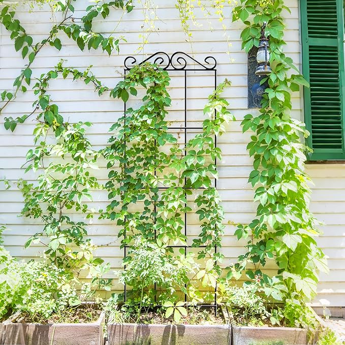 ARIFARO 57.5'' Metal Garden Trellis for Climbing Plants,(Pack of 4) Indoor/Outdoor Sturdy Plant Trellis for Potted Plants,House Plants, Climbing Vines, Black