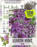 Seed Needs Lemon Mint Seeds for Planting Monarda citriodora Herbs - Grow a Non-GMO Heirloom & Untreated Medicinal Herb Garden Indoors or Outdoors - Popular in Herbal Tea (1 Pack)