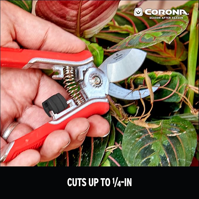 Corona BP 13623 Yard Essentials Houseplant Pruners, Red