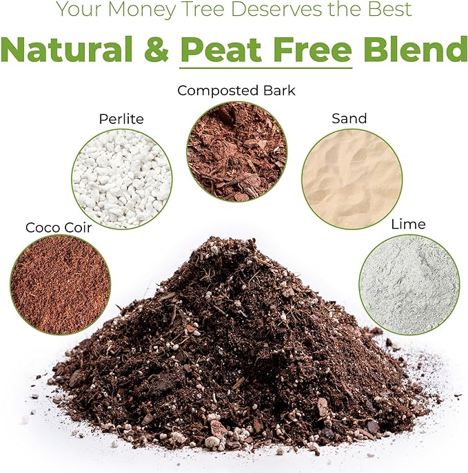Perfect Plants Money Tree Potting Soil 2qt | Organic Coco Coir Based Plant Mix for Indoor Trees | Quickly Grow Your Indoor Forest (2qts.)