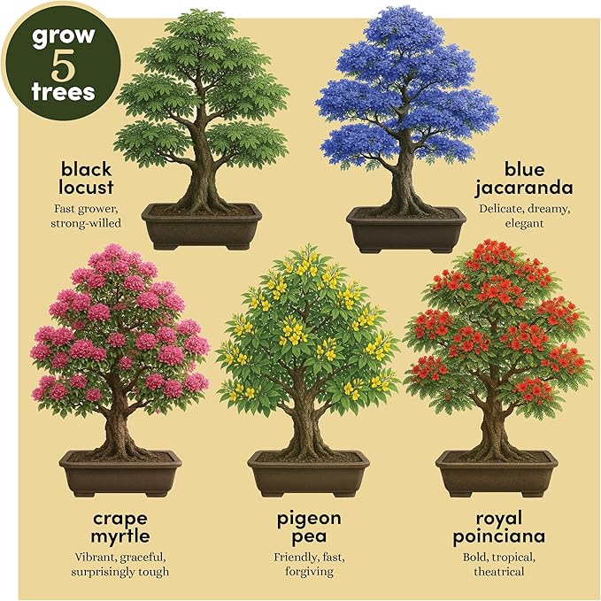 Planter's Choice Bonsai Tree Starter Kit - Unique Easter Gifts for Women, Men - Birthday Gifts for Adults - Indoor Live House Plants - DIY for Adults Craft Kits - Hobby Gift for Gardening Lovers