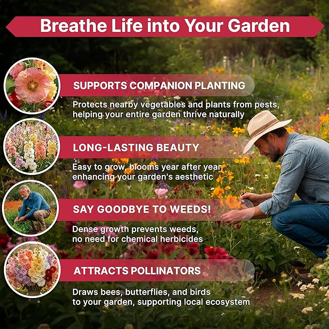 Hollyhock Flower Seeds Pack 1 oz - Over 3,000 Non-GMO Heirloom Hollyhock Seeds for Planting Indoor & Outdoor Gardening, Flower Seed for Home and Garden in Individual Packet, Floral Perennial Mix