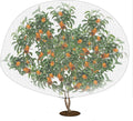 6.2 x 8.2 Feet Insect Bird Barrier Netting Mesh with Drawstring, Garden Bug Netting Plant Cover for Protect Plant Fruit Flower from Insect Bird
