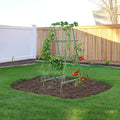 HIRALIY A Frame Cucumber Trellis for Climbing Plants Outdoor, 57" x 31" Heavy Duty Metal Garden Trellis, Rustproof Plant Support for Tomato, Grape, Bean, Raised Bed and Vegetable Gardens, Green
