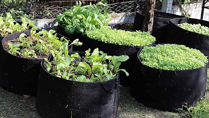 RootEase Garden Planting Fabric Grow Bags, Heavy Duty Durable Fabric Grow Pots, Perfect Harvest Planter, Raised Bed, Best Eco-Friendly Grow Bags (100 Gallon, Black)