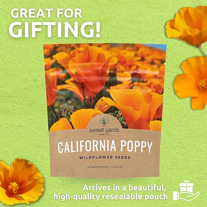 California Orange Poppy Wildflower Seeds - Bulk 1 Ounce Packet - Over 20,000 Native Seeds - California State Flower!