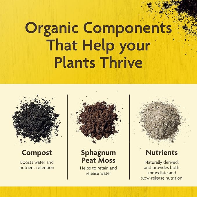 Miracle-Gro Organic Outdoor Potting Mix - Plant Soil for Outdoor Container Plants, Contains Quick-Release Natural Fertilizer, OMRI Listed, 16 qt. (2-Pack)
