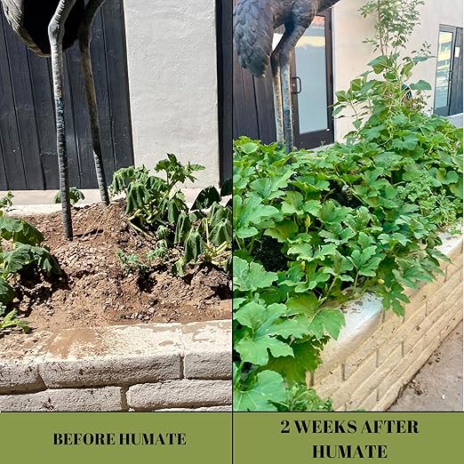 Humate (3 Pound Bag) - Natural Soil Amendment and Conditioner for Plant Health