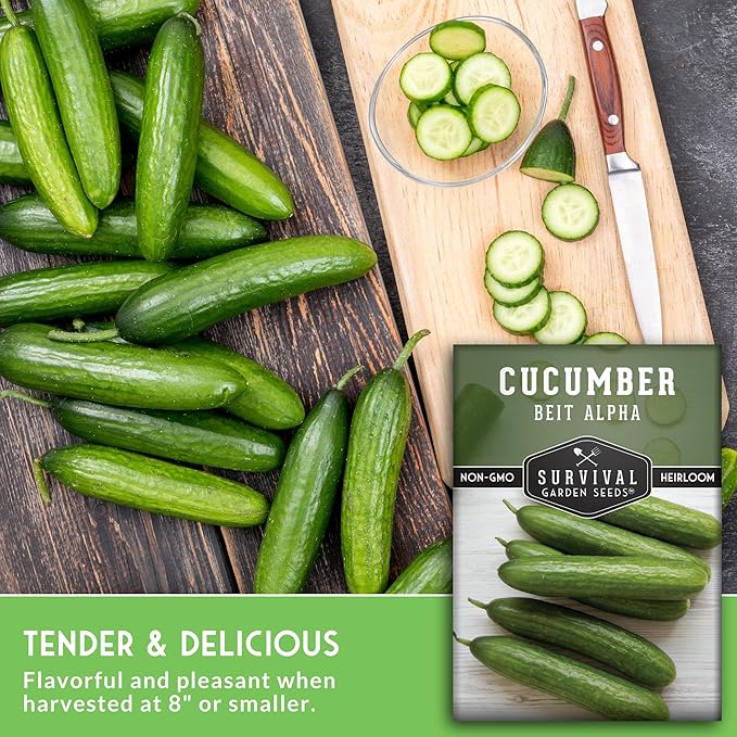 Beit Alpha Cucumber Seeds for Planting | Crisp Burpless Variety with Smooth Skin – Heirloom, Non‑GMO – Survival Garden Seeds (1 Pack)
