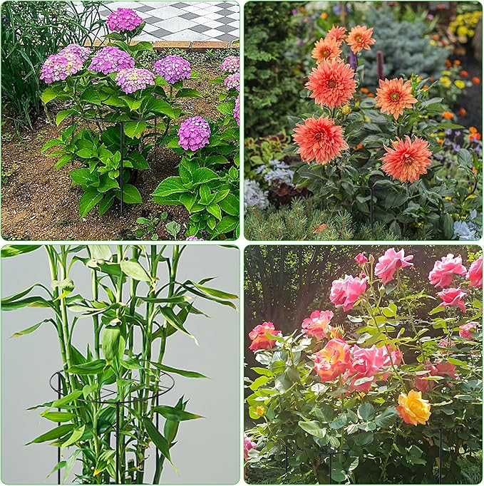 3 Pcs 31.5"H x 12.6"D Peony Cages and Supports, Large Grow Through Plant Support Cage for Outdoor Plants, 7mm Heavy Duty Metal Peony Support Grid Stake Garden Plant Rings Hoops for Large Peonies Roses