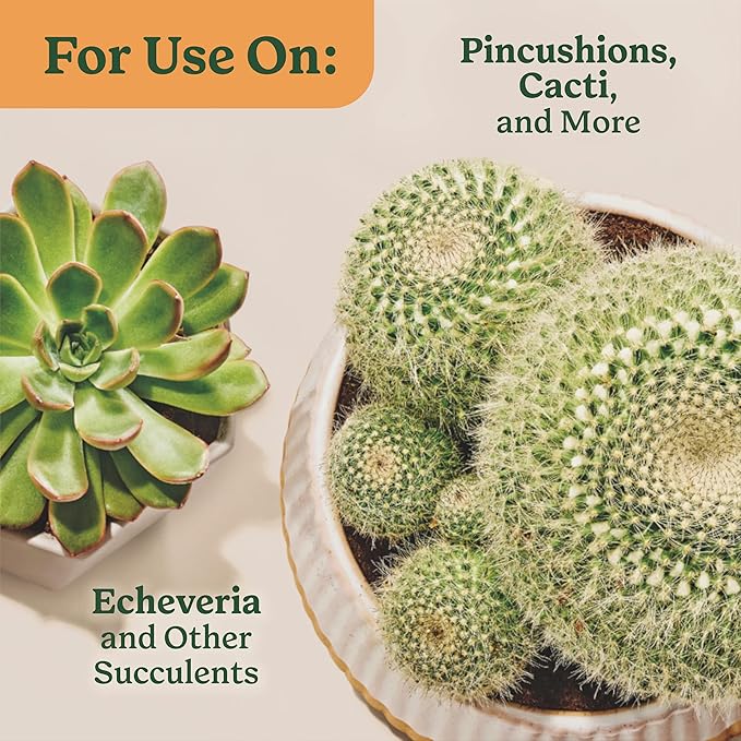 Miracle-Gro Indoor Plant Food for Cactus and Succulent, Liquid Plant Food for Indoor Succulents and Cactus, 8 fl. oz. (3-Pack)