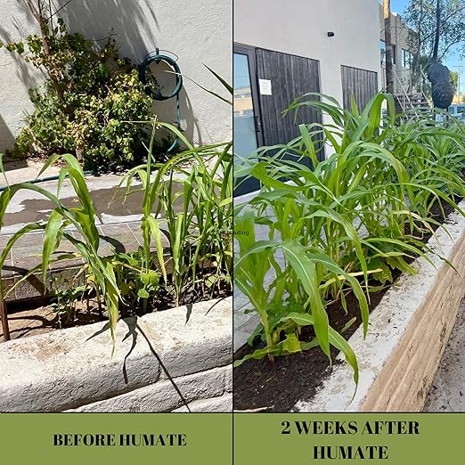 Humate (3 Pound Bag) - Natural Soil Amendment and Conditioner for Plant Health