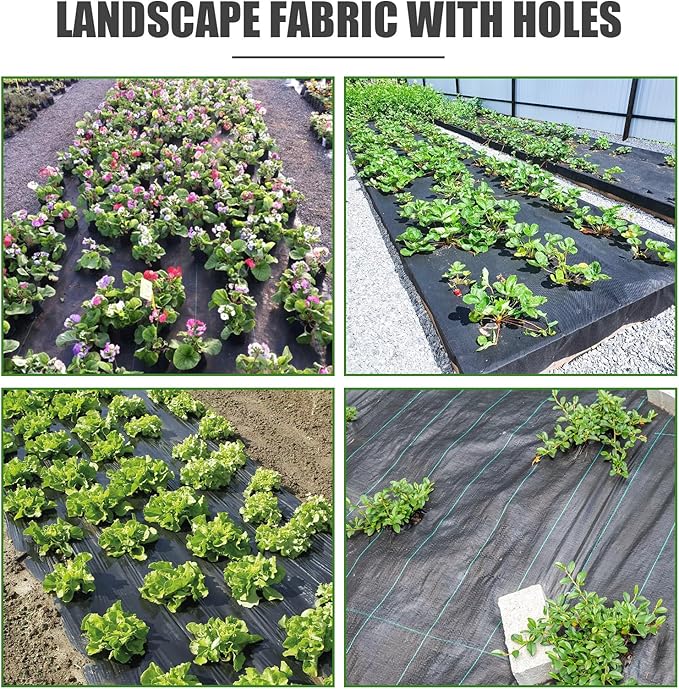 4Pcs Weed Barrier Landscape Fabric with 3'' Planting Holes,Garden Weed Barrier Fabric 3.3 Ft X 11.8 Ft Heavy Duty Weed Block Gardening Mat Soil Erosion Control and UV Stabilized