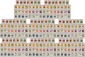 Set 248 of Premium Variety Flower Seed Packets - Heirloom Non-GMO and Proudly Sourced in The USA (248)