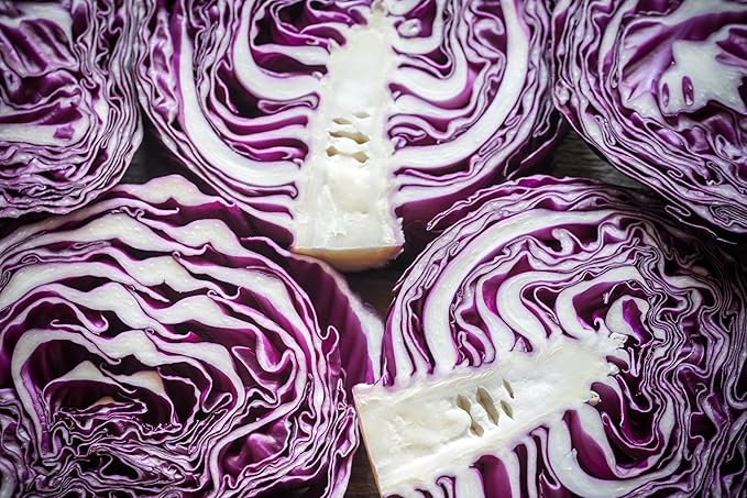 Red Acre Cabbage Seeds for Planting – Plant & Grow Heirloom Red Acre Cabbage in Home Outdoor Vegetable Garden, Brassica oleracea VAR. capitata– 5 Packets