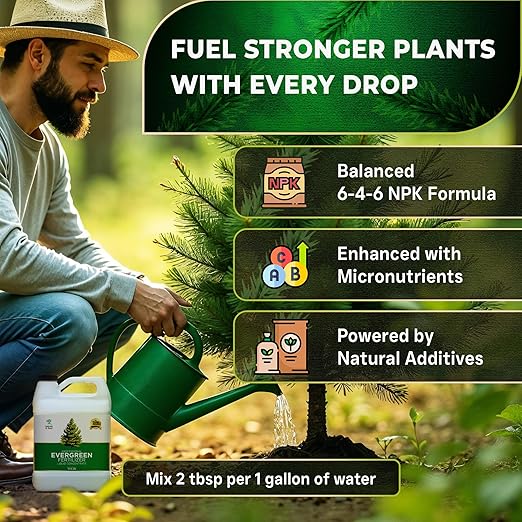 Leaves and Soul Professional Evergreen Tree Fertilizer Liquid Concentrate - 6-4-6 Blend for Evergreens, Garden Use - Liquid Plant Food for Evergreen Trees and Shrubs Outdoors - 32oz