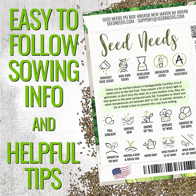 Seed Needs Celery Seeds for Planting Utah 52-70 Celery - Non-GMO, Heirloom & Untreated - Grow a Home Grown Outdoor Vegetable Garden for Fresh Produce (2 Packs)