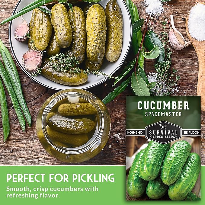 Spacemaster Cucumber Seeds for Planting | Compact Heirloom Non-GMO Variety for Small-Space Gardens – Survival Garden Seeds (2 Packs)