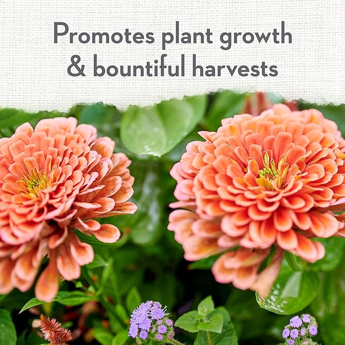 Whitney Farms Organic & Natural All Purpose Plant Food 9-2-6 - Fertilizer for Raised Bed Containers and In-Ground Vegetables, Flowers, Fruits and Herbs - 4 lb.