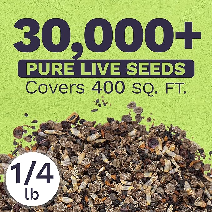 Bulk Wildflower Seeds Partial Shade Mix - 1/4 Pound Bag Over 30,000 Open Pollinated Annual and Perennial Seeds