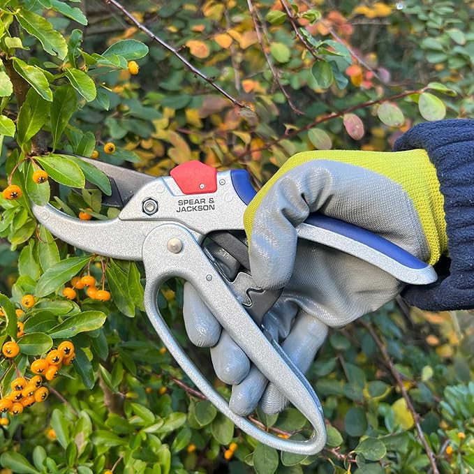 Spear & Jackson Razorsharp Geared Anvil Pruning Shears, Heavy Duty Garden Clippers for Thick Branches, Non-Slip Ergonomic Handles, Durable Steel Blades