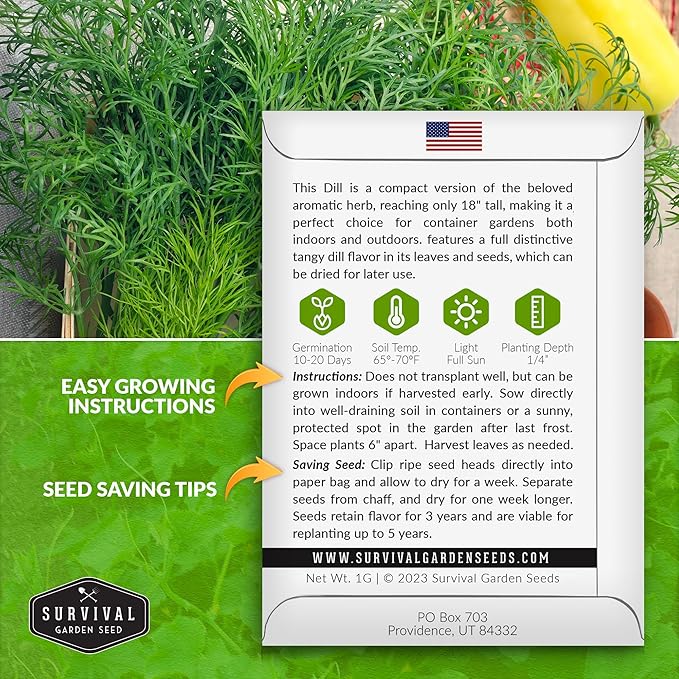 Compact Dill Seeds for Planting – Dwarf Dill for Containers & Small-Space Gardens – High Germination Heirloom Non-GMO Herb for Indoor or Outdoor Growing – Survival Garden Seeds (1 Pack)