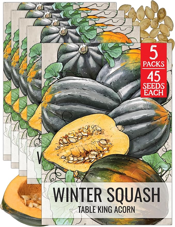 Seed Needs, Table King Acorn Winter Squash Seeds - 45 Heirloom Seeds for Planting Cucurbita Pepo - Non-GMO & Untreated Vegetable for an Outdoor Garden (5 Packs)