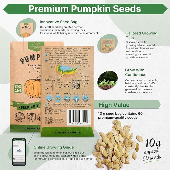 Organo Republic Pumpkin Connecticut Field Seeds Pack, 10G - Over 60 Non-GMO Heirloom Pumpkin Seeds for Planting Vegetables in Individual Seed Packet, Vegetable Seeds for Indoor & Outdoor Gardening