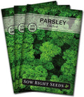 Sow Right Seeds - Curly Leaf Parsley Seed for Planting - Non-GMO Heirloom Packet with Instructions to Plant and Grow a Kitchen Herb Garden - Indoor or Outdoor - Great for Hydroponics Growing (3)